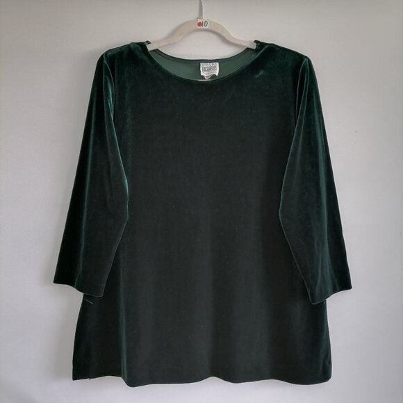 R&M Richards By Karen Kwong Womens Green  3/4 Sleeve Velvet Blouse Top Size 16 - Picture 1 of 8